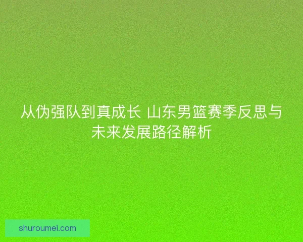 从伪强队到真成长 山东男篮赛季反思与未来发展路径解析
