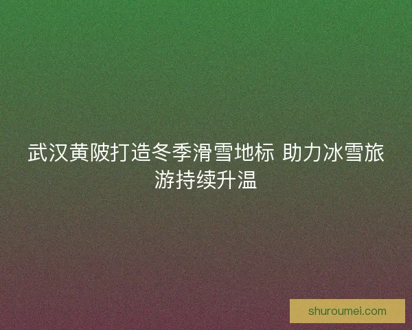 武汉黄陂打造冬季滑雪地标 助力冰雪旅游持续升温
