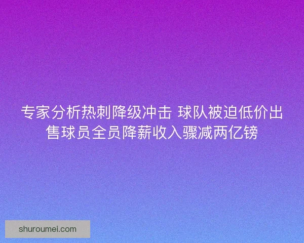 专家分析热刺降级冲击 球队被迫低价出售球员全员降薪收入骤减两亿镑
